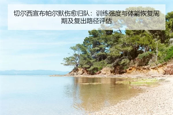 qie-er-xi-xuan-bu-pa-er-mo-shang-yu-gui-dui-xun-lian-qiang-du-yu-ti-neng-hui-fu-zhou-qi-ji-fu-chu-lu-jing-ping-gu-2-823.jpg
